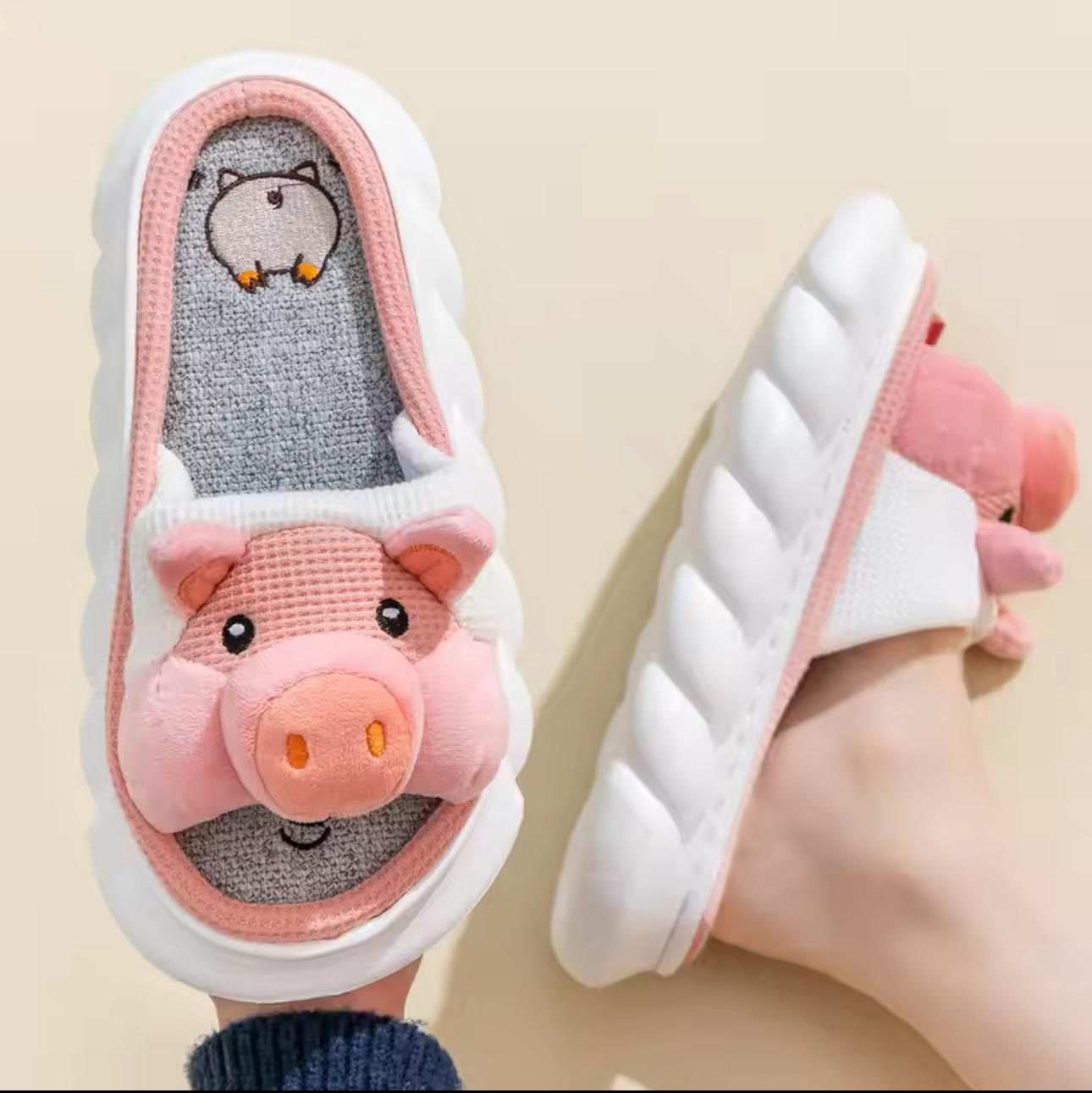 Oink Oink Slides